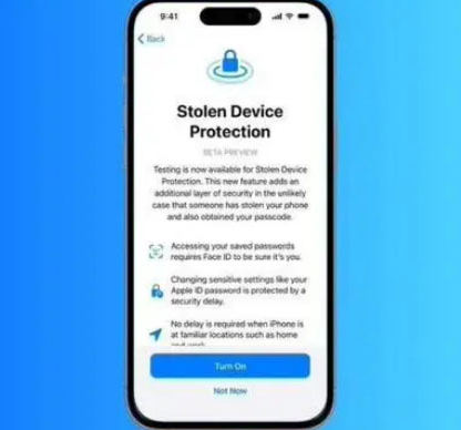 沙湾苹果授权维修店分享被盗设备保护功能开启方法 