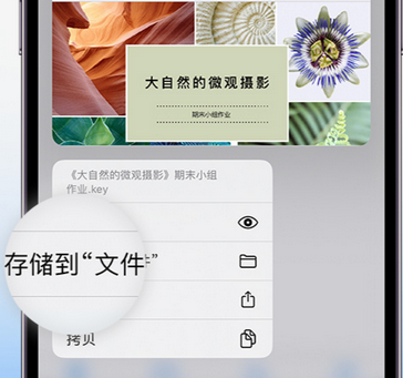 沙湾apple维修中心分享iPhone文件应用中存储和找到下载文件