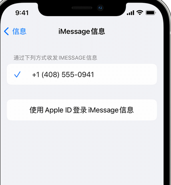 沙湾apple维修iPhone上无法正常发送iMessage信息 