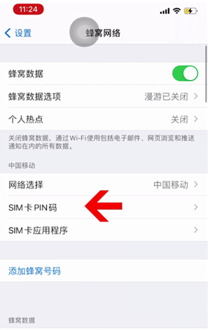 沙湾苹果14维修网分享如何给iPhone14的SIM卡设置密码 