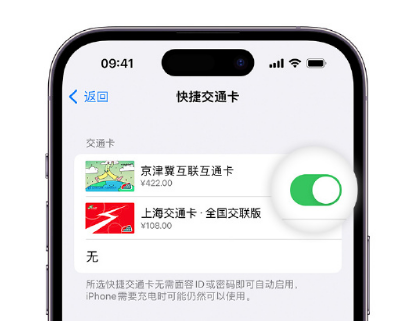 沙湾apple维修点分享iPhone上更换Apple Pay快捷交通卡手绘卡面 