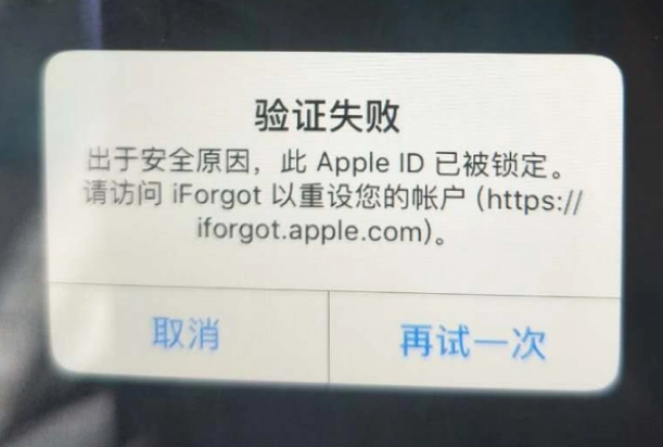 沙湾iPhone维修分享iPhone上正常登录或使用AppleID怎么办 