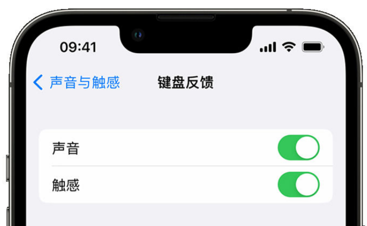 沙湾苹果手机维修分享iPhone 14触感键盘使用方法 