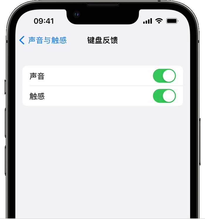 沙湾苹果14维修店分享如何在 iPhone 14 机型中使用触感键盘 