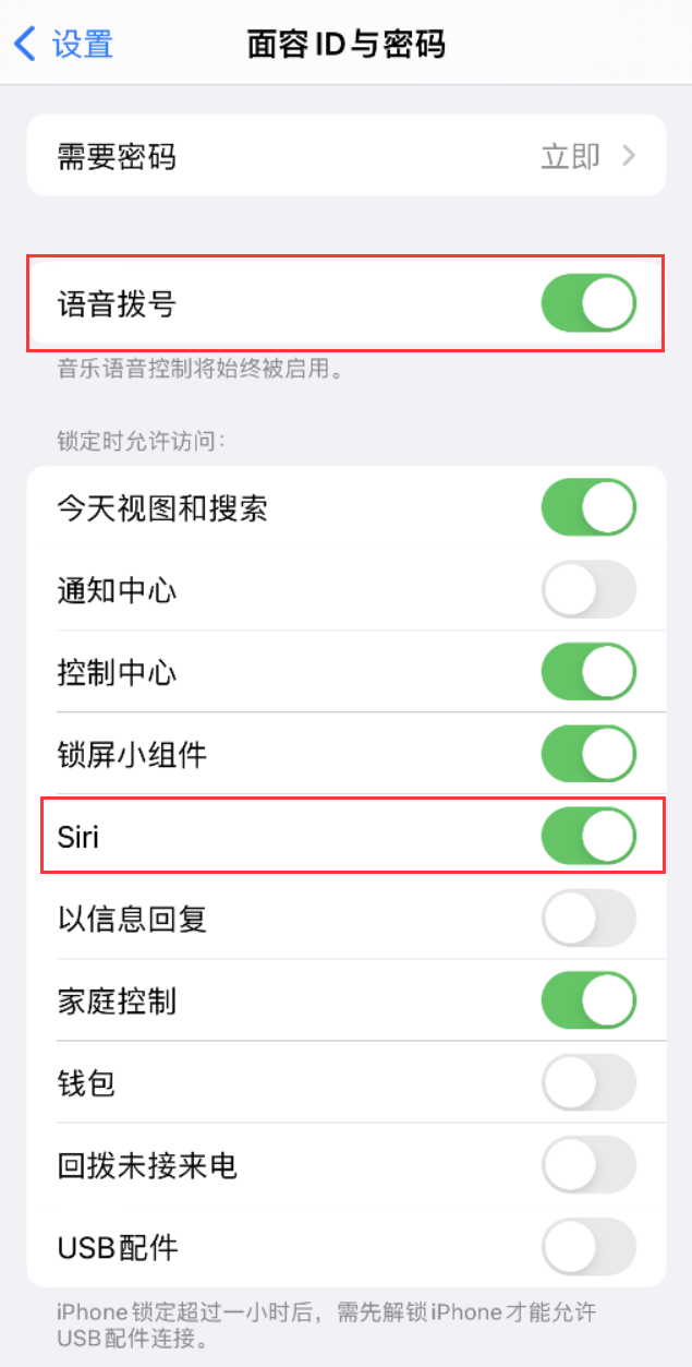 沙湾苹果维修网点分享不解锁 iPhone 的情况下通过 Siri 拨打电话的方法 