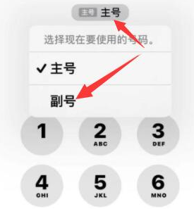 沙湾苹果14维修店分享iPhone 14 Pro Max使用副卡打电话的方法 