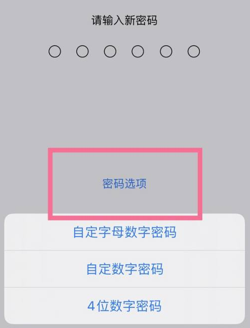 沙湾苹果14维修分享iPhone 14plus设置密码的方法 