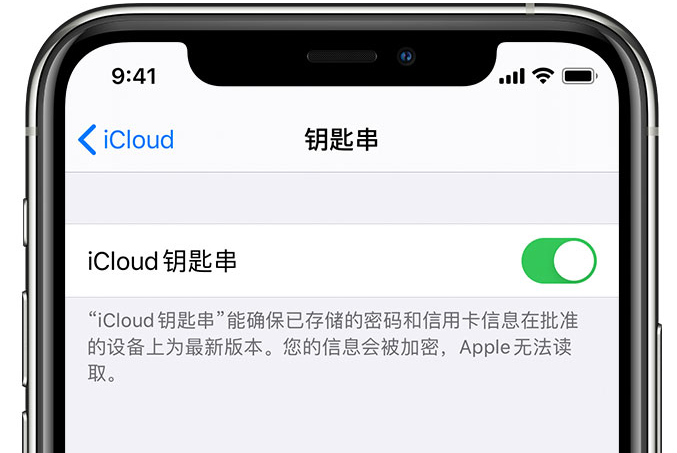 沙湾苹果手机维修分享在 iPhone 上开启 iCloud 钥匙串之后会储存哪些信息 